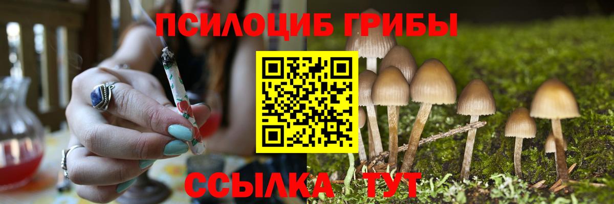 Мончегорск  Галлюциногенные грибы прущие грибы  Вход с VPN  Псилоцибиновые грибы Cubensis 